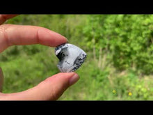 Charger et lire la vidéo dans la visionneuse de la Galerie, VENDU Agate dendritique 7