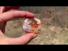 Charger et lire la vidéo dans la visionneuse de la Galerie, VENDU Agate Crazy Lace 9