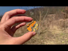 Charger et lire la vidéo dans la visionneuse de la Galerie, VENDU Jaspe bumblebee 10