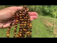 Charger et lire la vidéo dans la visionneuse de la Galerie, Perles en oeil de tigre entre 2 et 14mm OTD