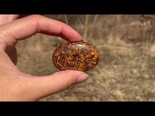 Charger et lire la vidéo dans la visionneuse de la Galerie, Jaspe Mariam 6
