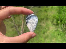 Charger et lire la vidéo dans la visionneuse de la Galerie, VENDU Agate dendritique 33