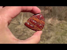 Charger et lire la vidéo dans la visionneuse de la Galerie, Jaspe Noreena 5