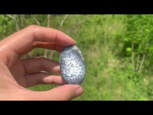 Charger et lire la vidéo dans la visionneuse de la Galerie, VENDU Agate dendritique 23