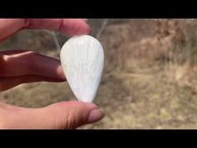 Charger et lire la vidéo dans la visionneuse de la Galerie, Scolécite 3