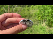 Charger et lire la vidéo dans la visionneuse de la Galerie, VENDU Agate dendritique 10