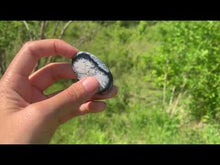 Charger et lire la vidéo dans la visionneuse de la Galerie, VENDU Agate dendritique 18