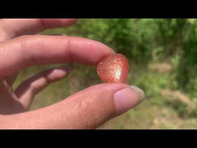 Charger et lire la vidéo dans la visionneuse de la Galerie, VENDU Pierre de soleil 9