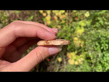 Charger et lire la vidéo dans la visionneuse de la Galerie, Jaspe Paysage 7