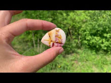 Charger et lire la vidéo dans la visionneuse de la Galerie, Jaspe mookaite 7