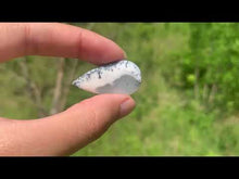 Charger et lire la vidéo dans la visionneuse de la Galerie, VENDU Agate dendritique 32