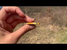 Charger et lire la vidéo dans la visionneuse de la Galerie, VENDU Jaspe bumblebee 1
