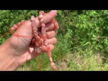 Charger et lire la vidéo dans la visionneuse de la Galerie, Perles en pierre de soleil, forme petits galets 10-12mm