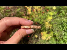 Charger et lire la vidéo dans la visionneuse de la Galerie, Jaspe Paysage 9