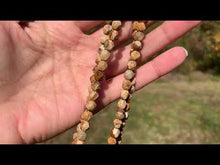 Charger et lire la vidéo dans la visionneuse de la Galerie, Perles en jaspe paysage forme diamant entre 6 et 10mm