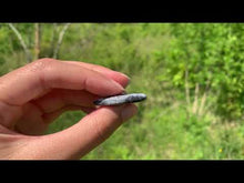 Charger et lire la vidéo dans la visionneuse de la Galerie, VENDU Agate dendritique 8