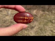 Charger et lire la vidéo dans la visionneuse de la Galerie, Jaspe Noreena 3