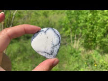 Charger et lire la vidéo dans la visionneuse de la Galerie, VENDU Agate dendritique 13