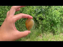 Charger et lire la vidéo dans la visionneuse de la Galerie, Agate 9