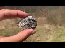 Charger et lire la vidéo dans la visionneuse de la Galerie, Ammonite noire 2