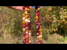 Charger et lire la vidéo dans la visionneuse de la Galerie, Perles en jaspe mookaite forme diamant entre 6 et 10mm