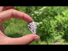 Charger et lire la vidéo dans la visionneuse de la Galerie, VENDU Jaspe Dalmatien 3