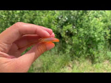 Charger et lire la vidéo dans la visionneuse de la Galerie, Agate 4