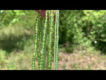 Charger et lire la vidéo dans la visionneuse de la Galerie, Perles en péridot entre 2 et 5mm