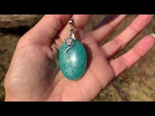 Charger et lire la vidéo dans la visionneuse de la Galerie, Bélière renard