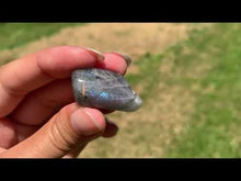 Charger et lire la vidéo dans la visionneuse de la Galerie, Labradorite, pierre roulée