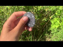 Charger et lire la vidéo dans la visionneuse de la Galerie, Gabbro 1