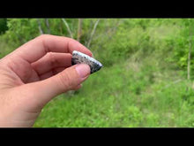 Charger et lire la vidéo dans la visionneuse de la Galerie, VENDU Agate dendritique 1