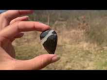 Charger et lire la vidéo dans la visionneuse de la Galerie, VENDU Ammonite noire 11