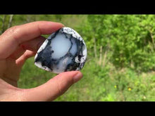 Charger et lire la vidéo dans la visionneuse de la Galerie, VENDU Agate dendritique 12