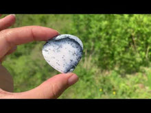 Charger et lire la vidéo dans la visionneuse de la Galerie, VENDU Agate dendritique 15