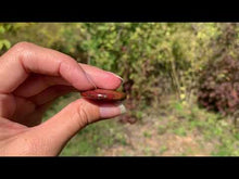 Charger et lire la vidéo dans la visionneuse de la Galerie, Jaspe héliotrope 3