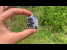 Charger et lire la vidéo dans la visionneuse de la Galerie, VENDU Agate dendritique 20