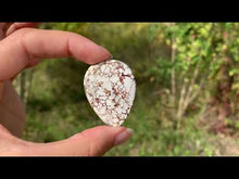 Charger et lire la vidéo dans la visionneuse de la Galerie, Magnésite Wild Horse 4