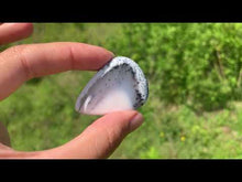 Charger et lire la vidéo dans la visionneuse de la Galerie, VENDU Agate dendritique 14
