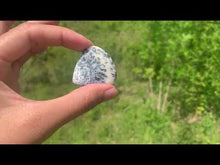 Charger et lire la vidéo dans la visionneuse de la Galerie, VENDU Agate dendritique 19