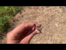 Charger et lire la vidéo dans la visionneuse de la Galerie, VENDU Agate de Feu 12