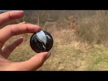 Charger et lire la vidéo dans la visionneuse de la Galerie, VENDU Ammonite noire 12