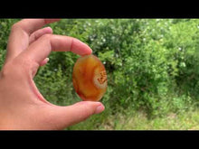 Charger et lire la vidéo dans la visionneuse de la Galerie, Agate 2