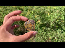 Charger et lire la vidéo dans la visionneuse de la Galerie, Jaspe pistache 4