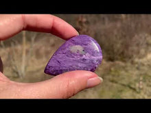 Charger et lire la vidéo dans la visionneuse de la Galerie, Charoïte 4