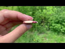 Charger et lire la vidéo dans la visionneuse de la Galerie, VENDU Jaspe mookaite 2
