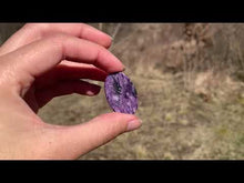 Charger et lire la vidéo dans la visionneuse de la Galerie, Charoïte 17