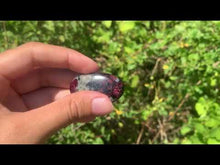 Charger et lire la vidéo dans la visionneuse de la Galerie, Eudyalite 6