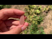 Charger et lire la vidéo dans la visionneuse de la Galerie, VENDU Pierre de lune 46