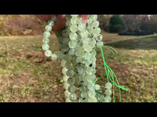 Charger et lire la vidéo dans la visionneuse de la Galerie, Perles en prehnite entre 6 et 12mm